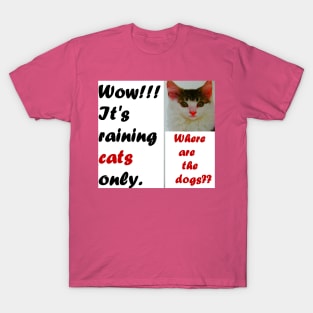 IT'S RAINING CATS ONLY T-Shirt